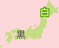 こんにゃく日本地図