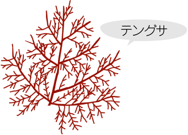 こんにゃく しらたきは何でできているの こんにゃくしらたきの基本 関越物産