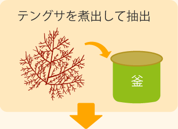 こんにゃく しらたきは何でできているの こんにゃくしらたきの基本 関越物産